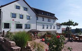 Landhotel Traube
